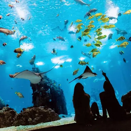 Un De Reve En Plein Coeur Du Pont Vasco De Gamma Apartment Lisbon